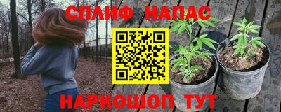 таблы Кингисепп